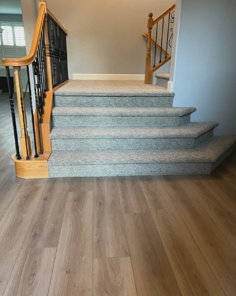 Our Work 